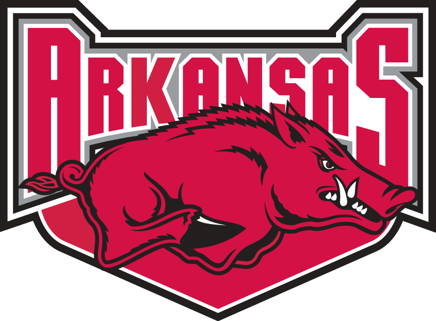 Arkansas Razorbacks 2001-2008 Alternate Logo diy iron on heat transfer...